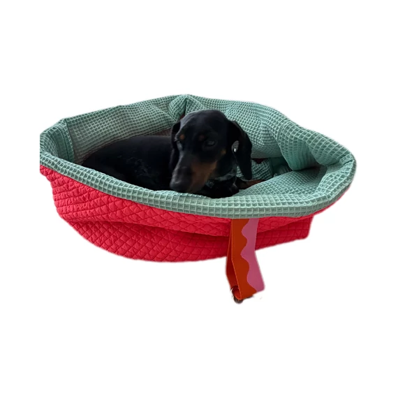 Watermelon Daiquiri Snug M