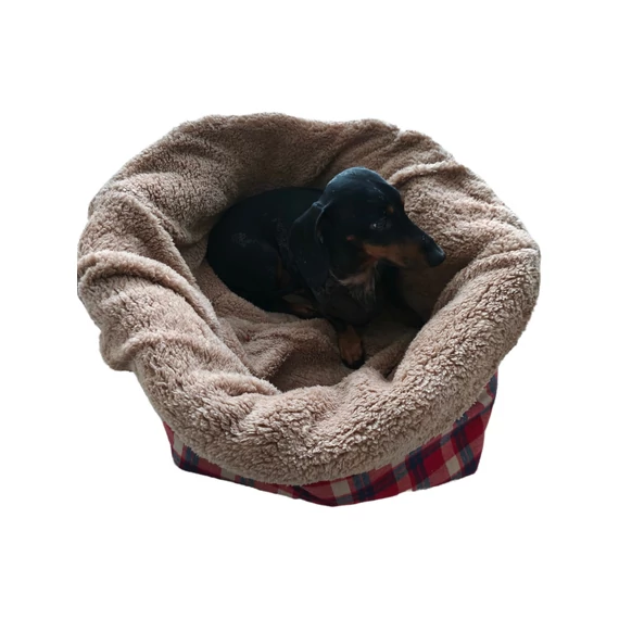 Sigi Snug