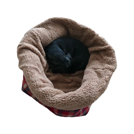Sigi Snug